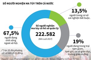 Thống kê đáng lo ngại về số người nghiện ma túy