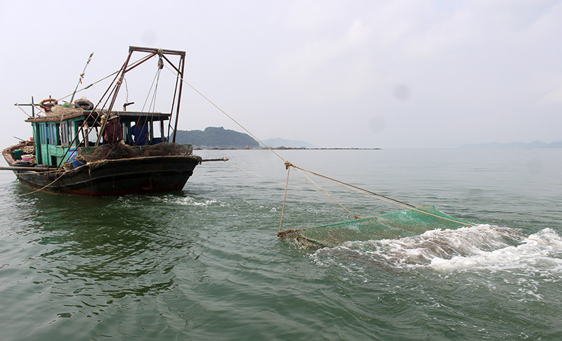 Nghề đánh đánh bắt hải sản bằng giã cào làm suy giảm nghiêm trọng nguồn lợi thuỷ sản (Ảnh: Hữu Việt)