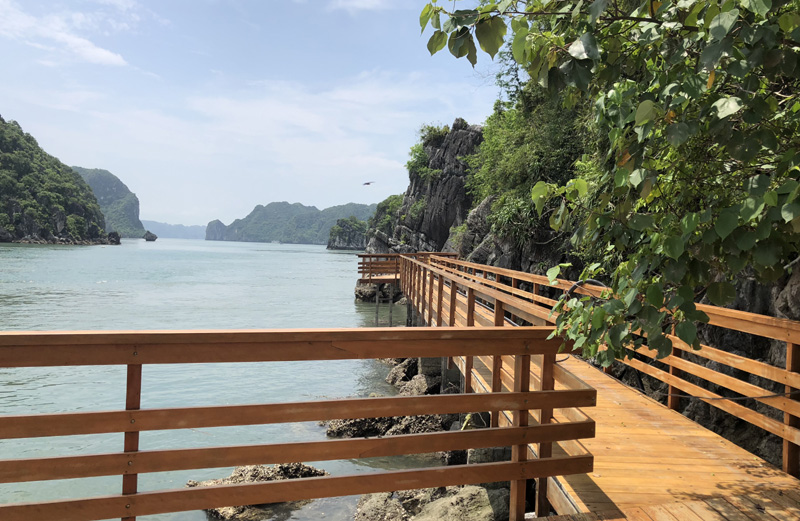 Toàn bộ hệ thống đường dạo trên đảo đều được sử dụng vật liệu gỗ