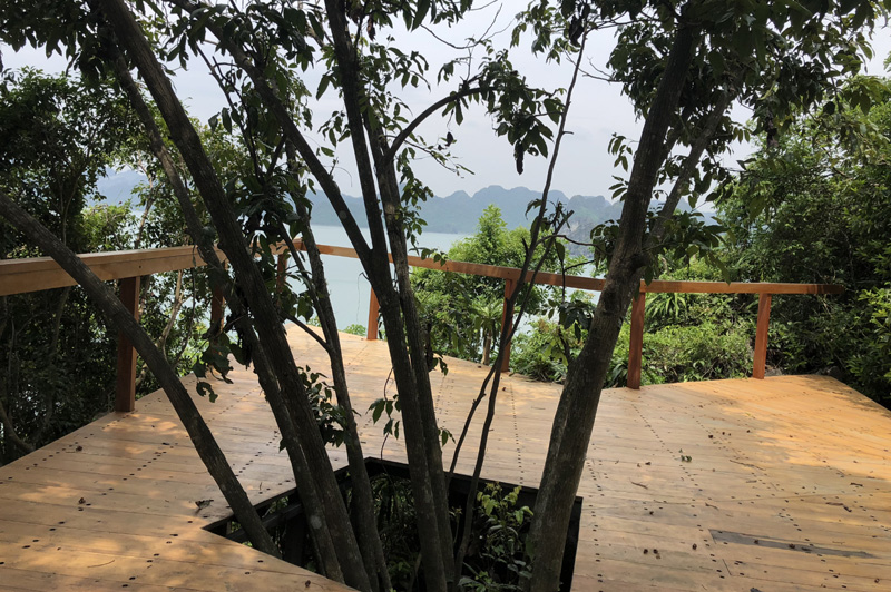 Trong quá trình làm đường dạo nếu gặp cây đều tránh không làm tổn hại đến hệ sinh thái trên đảo
