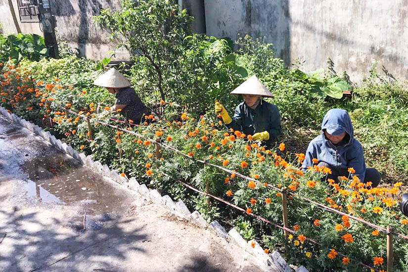 Hội viên chi hội phụ nữ khu 7B (phường Cẩm Thịnh, TP Cẩm Phả) thường xuyên chăm sóc tuyến đường hoa sạch đẹp.