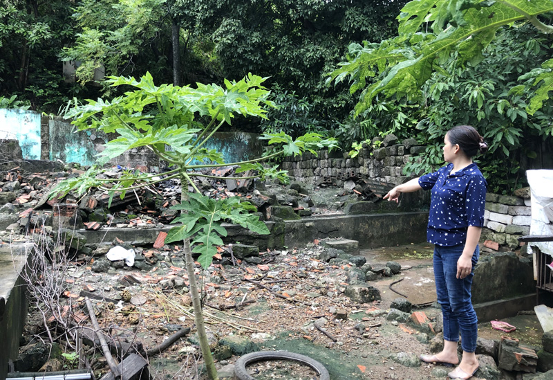 Căn nhà cấp 4 của gia đình bà Lê Thị Quế Lâm, tổ 27, khu 2B , phường Cao Xanh bị sụt lún do ảnh hưởng của khai thác than trái phép những năm trước, nay gia đình có nguyện vọng sớm được di dời