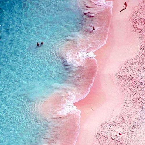 Bãi biển cát hồng, Bahamas. Thật không ngạc nhiên khi các cặp đôi hưởng tuần trăng mật đổ xô đến bãi biển màu hồng ở Bahamas. Chẳng gì có thể lãng mạn hơn một hòn đảo thiên đường với trảng cát màu hồng nhạt trải dài bất tận.
