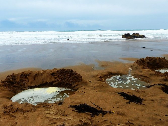 Bãi biển nước nóng, New Zealand. Nếu bạn ghé thăm bãi biển này, bạn sẽ thấy du khách đào hố trên cát và sau đó ngâm mình trong đó. Nước được lọc qua cát sẽ rất nóng.