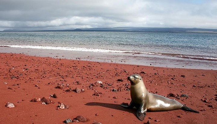 Bãi biển Cát Đỏ, Rabida, Galapagos. Màu đỏ của cát trên bãi biển là do quá trình ôxi hóa nham thạch giàu sắt. 