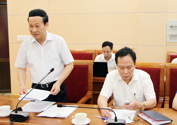 Đồng chí Nguyễn Văn Thành, Phó Chủ tịch UBND tỉnh phát biểu tại cuộc họp. 