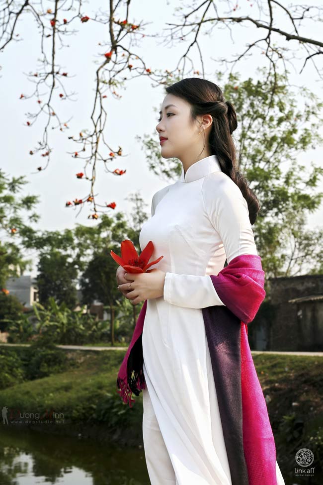 Con gái Việt, đẹp nhất là khi mặc áo dài, lại càng đẹp hơn khi trong tay cầm đóa hoa gạo đỏ thắm.