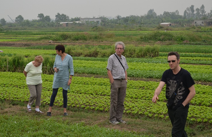 Du khách nước ngoài tham quan vườn rau tại phường Hưng Đạo, TX Đông Triều.