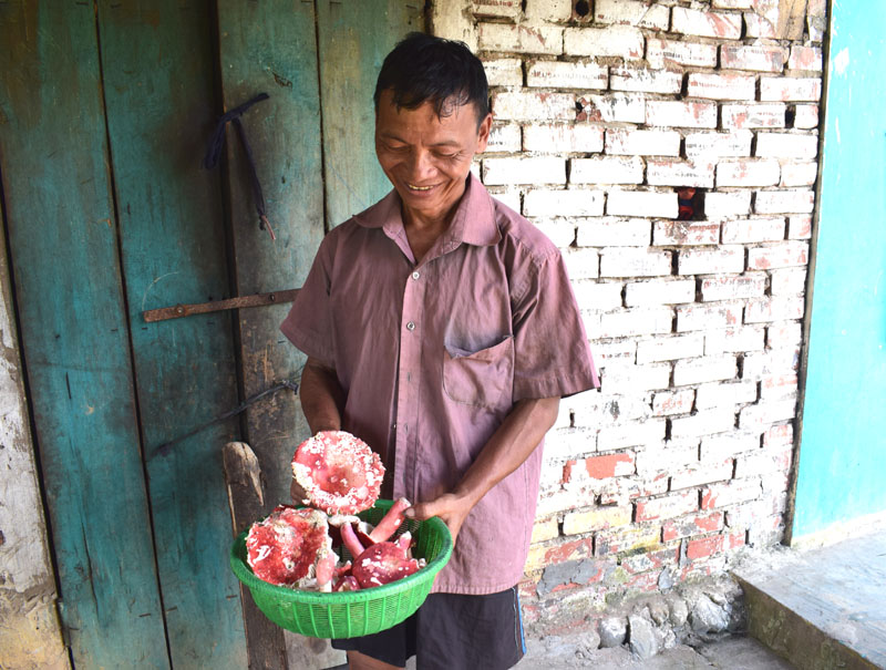 Nấm chẹo là nguồn thu tạo niềm vui cho nhiều người ở thôn Nà Cà, xã Phong Dụ
