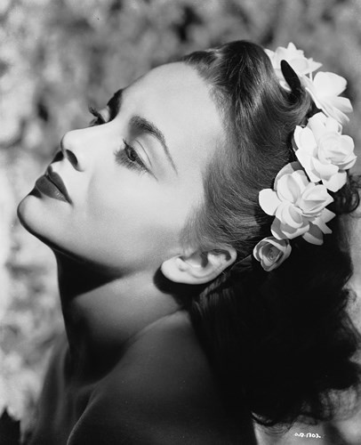   Thời còn trẻ, Olivia de Havilland cũng là một trong những mỹ nhân xinh đẹp của Hollywood.