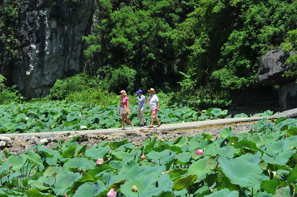 Nhiều du khách nước ngoài tìm đến chiêm ngắm vẻ đẹp hoang sơ, tự nhiên trong mùa sen ở Tam Cốc-Bích Động. (Ảnh: Minh Đức/TTXVN)