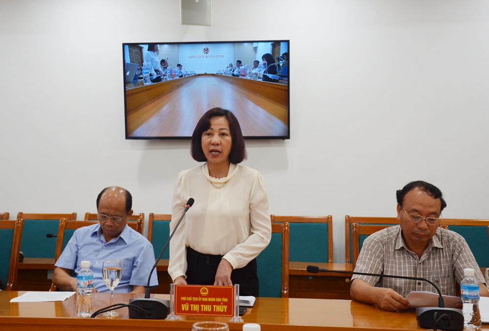 Đồng chí Vũ Thị Thu Thủy, Phó Chủ tịch UBND tỉnh phát biểu tại buổi làm việc