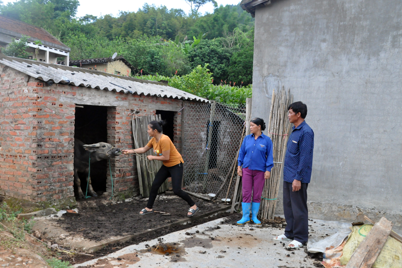 Cán bộ thôn Co Sen, xã Hoành Mô tích cực vận động nhân dân trên địa bàn di dời chuồng trại chăn nuôi cách xa nhà ở để đảm bảo vệ sinh. 