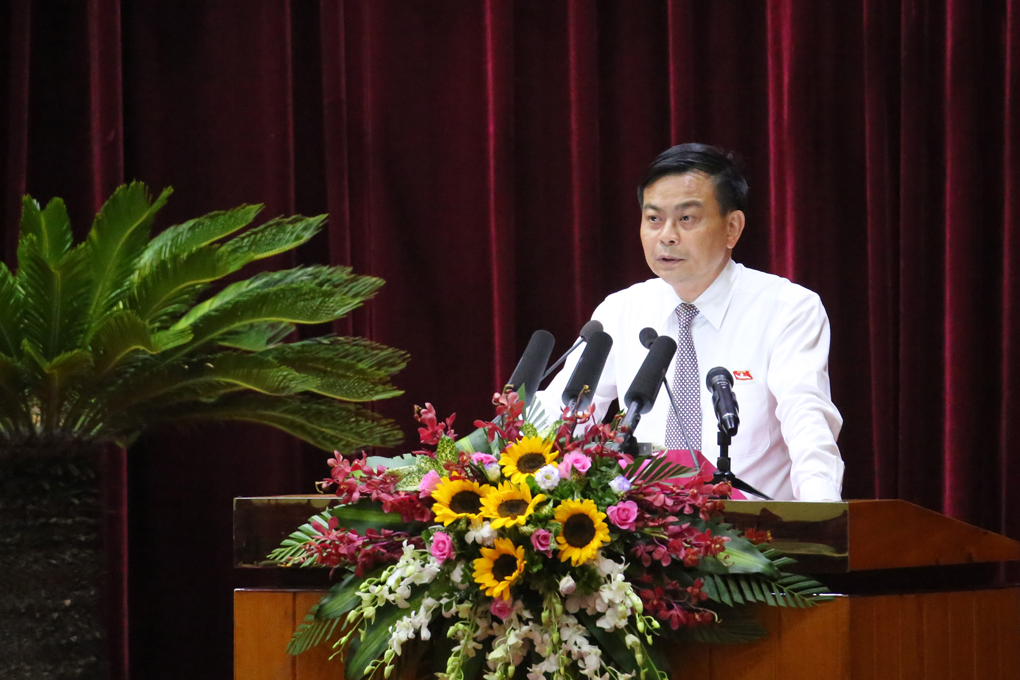 Đại biểu Trần Đức Lâm, Tổ đại biểu Hạ Long, cơ bản nhất trí với các nội dung tờ trình, báo cáo thẩm tra của các ban HĐND tỉnh.