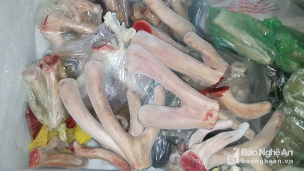 Hiện nay, huyện Quỳnh Lưu đang xúc tiến xây dựng thương hiệu nhung và lộc hươu, nai để việc tiêu thụ được dễ dàng hơn. Ảnh: Hồng Diện.