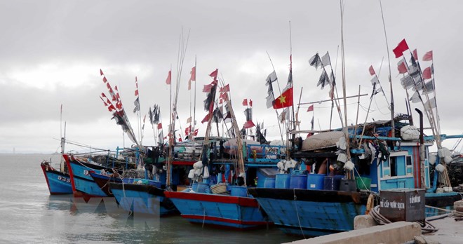 Tàu thuyền vào neo đậu tại cảng cá Cửa Sót huyện Lộc Hà, Hà Tĩnh để tránh trú áp thấp nhiệt đới gần bờ. (Ảnh Công Tường/TTXVN)