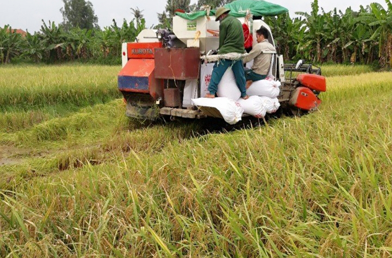 Nông dân Liên Hòa (TX Quảng Yên) sử dụng máy móc vào phục vụ sản xuất nông nghiệp