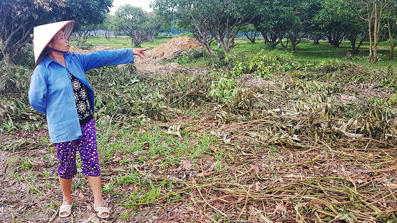 Bà Lê Thị Hậu thôn 1, là 1 trong 121 hộ đã đồng ý bàn giao mặt bằng sạch cho huyện.