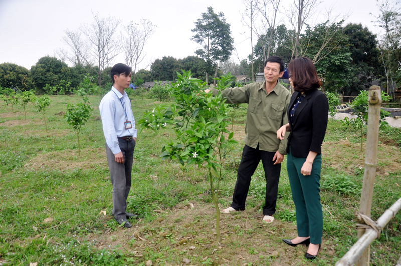 Cán bộ Ban Dân vận Huyện ủy Đầm Hà kiểm tra mô hình phát triển kinh tế trang trại tại thôn Tân Tiến, xã Tâm Bình.