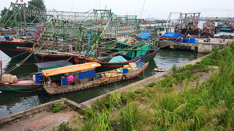 Điểm neo đậu tàu thuyền mỗi khi có bão trên sông Hà Cối khu vực xã Phú Hải.