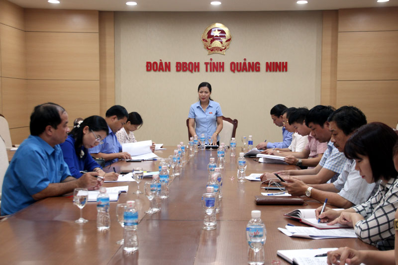Đoàn ĐBHQ tỉnh triển khai kế hoạch giám sát công tác bảo vệ môi trường trên địa bàn tỉnh. Ảnh: Quang Minh