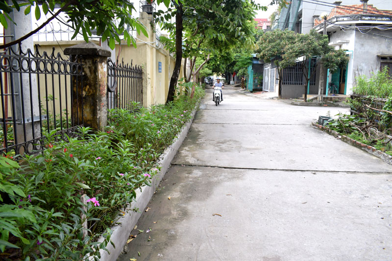 Tuyến đường hoa khu phố 6B, phường Cẩm Thịnh đã không còn hoa hồng vì bị mất trộm