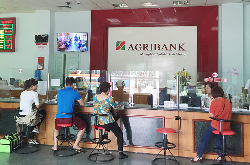 7 tháng đầu năm, Agribank đã thực hiện cơ cấu lại tổ chức tín dụng trên địa bàn tỉnh.