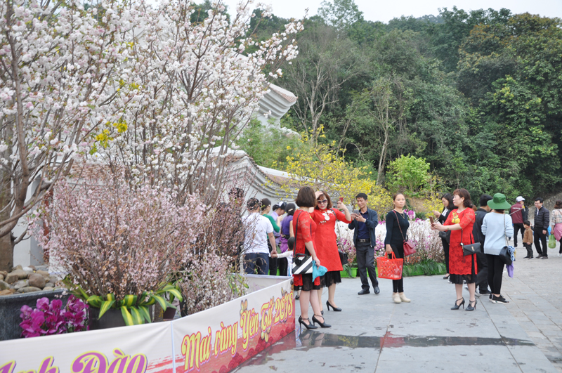 Lễ hội hoa Anh Đào và Mai Vàng Yên Tử 2018 (TP Uông Bí) thu hút rất đông du khách thập phương