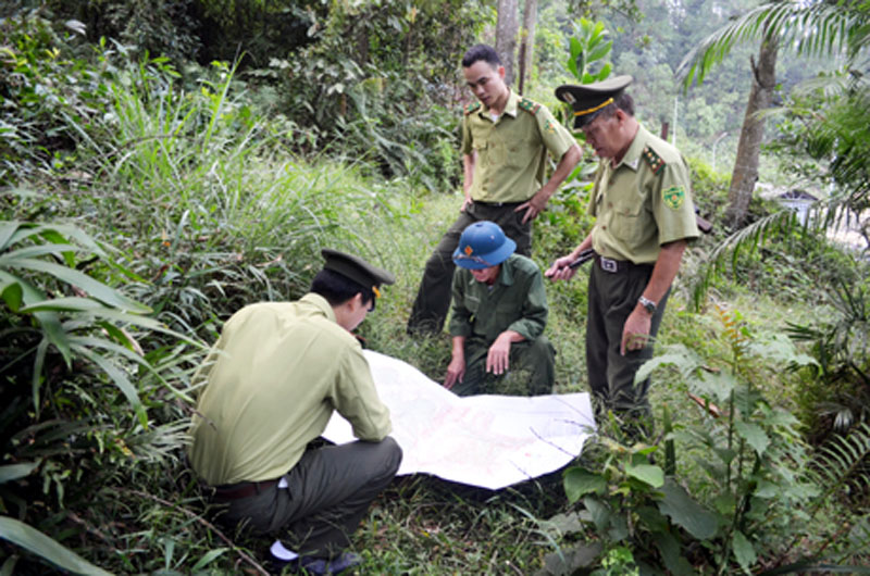 Cán bộ Ban Quản lý rừng đầu nguồn Yên Lập kiểm tra hiện trạng rừng đầu nguồn (Ảnh: Việt Hoa)