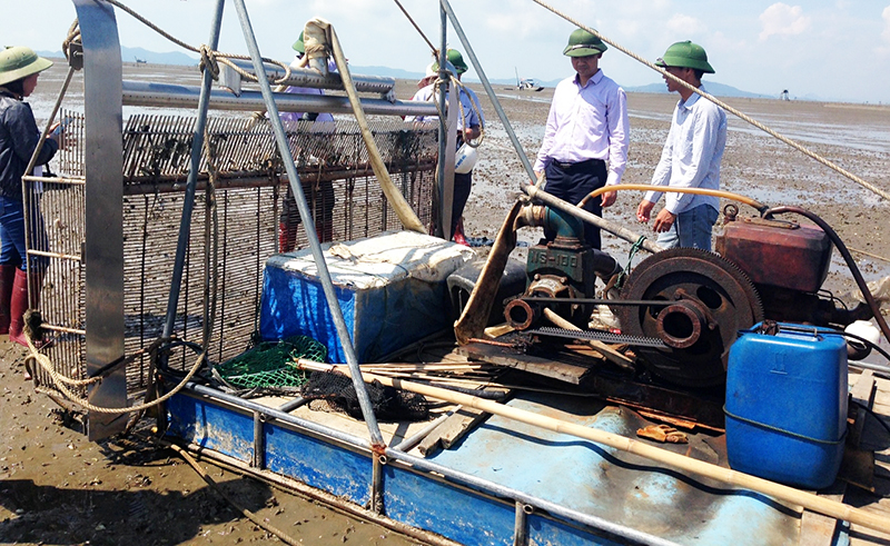 Người dân xã Phú Hải, huyện Hải Hà sử dụng máy cào ngao để khai thác trên diện tích bãi triều