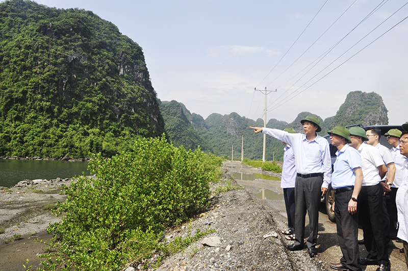 Đồng chí Nguyễn Văn Đọc kiểm tra hiện trạng sử dụng đất tại Khu 9, phường Quang Hanh.