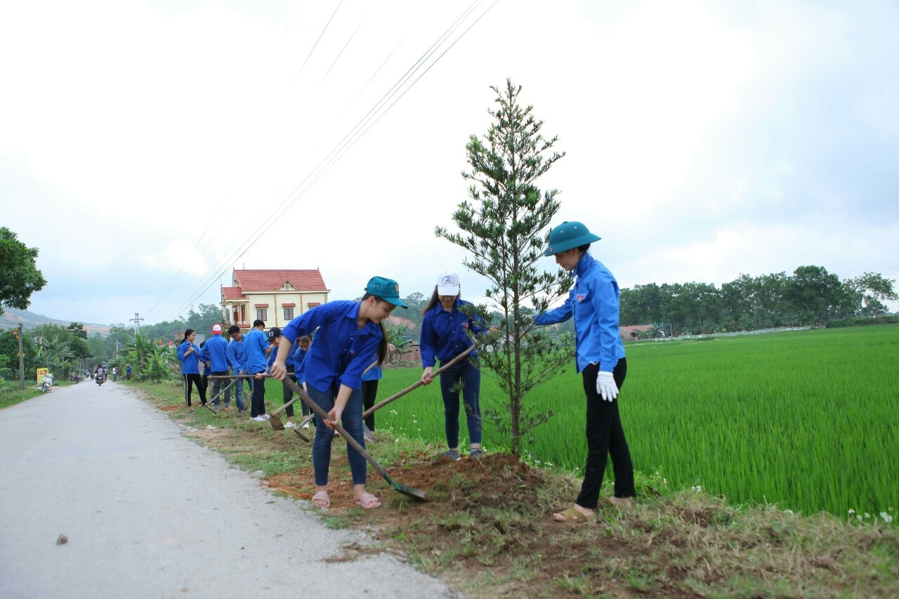 Đoàn thanh niên xã Sông Khoai trồng cây xanh ven đường trục chính của  xã.
