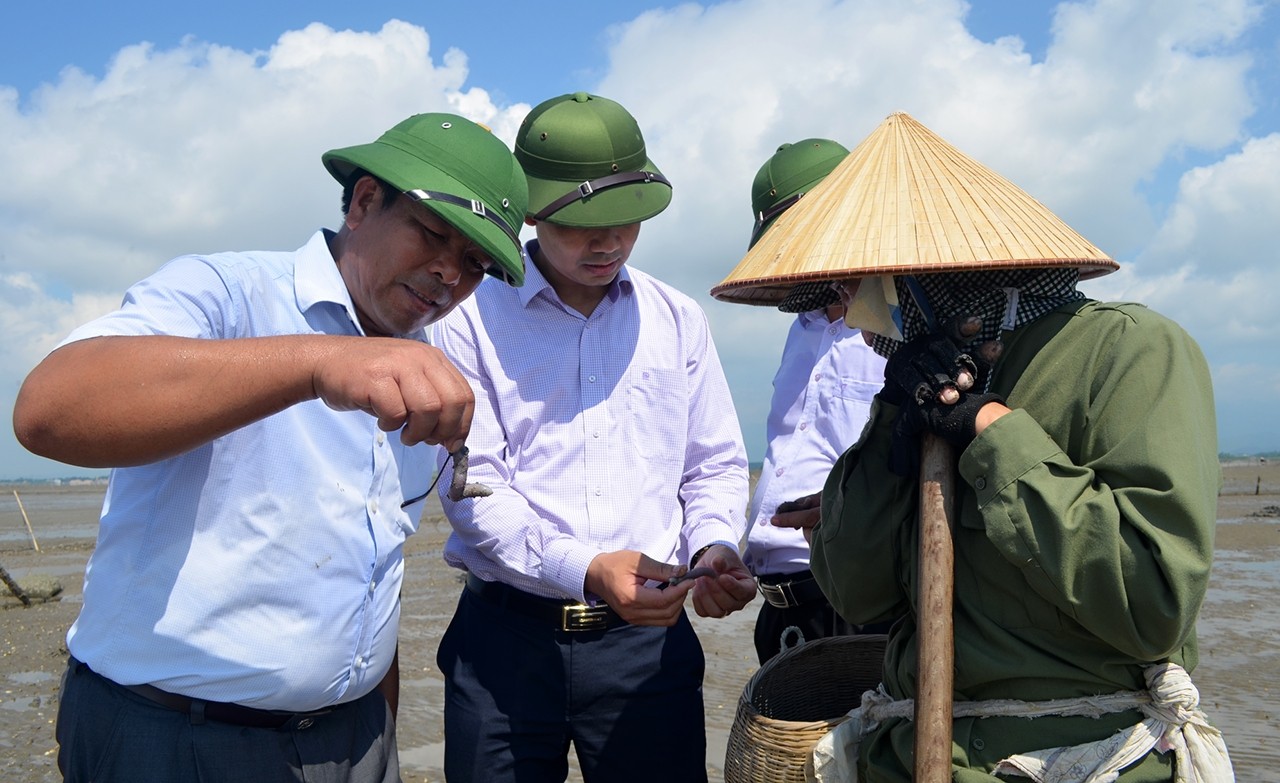 Đoàn kiểm tra của Sở NN&PTNT kiểm tra tình hình khai thác sá sùng tại xã Phú Hải, huyện Hải Hà