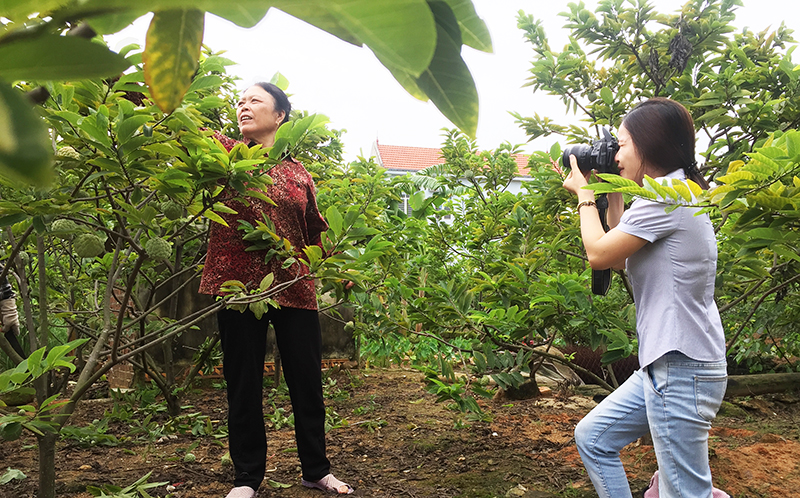 Phóng viên tác nghiệp ghi lại hình ảnh người dân chăm sóc cây trồng tại xã Việt Dân, TX Đông Triều