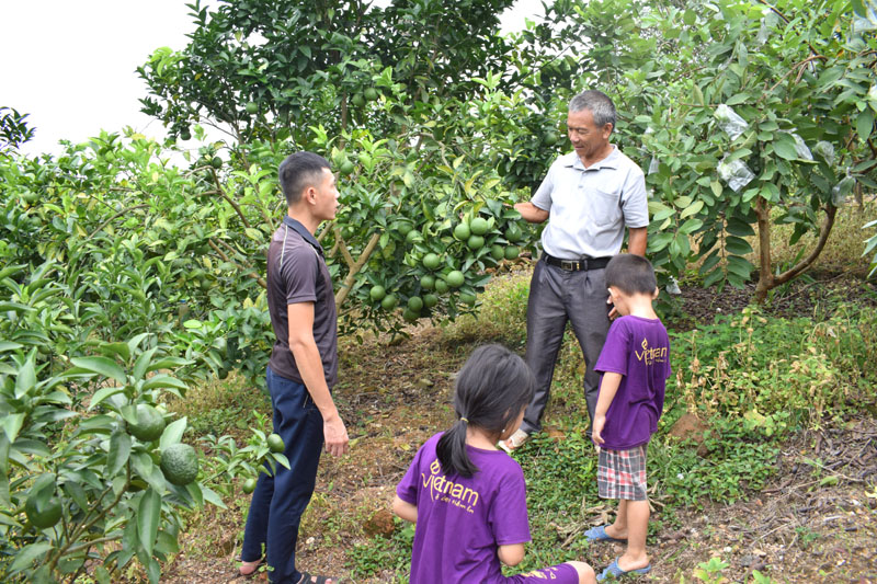Trên diện tích vườn mẫu, CCB Phạm Văn Học (bên phải) trồng nhiều loại cây ăn quả