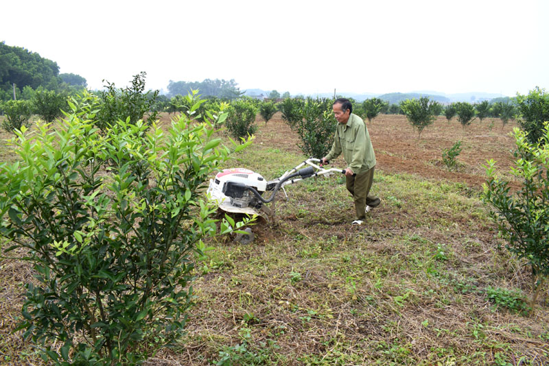 CCB Nguyễn văn Ly, xã Dực Yên trông mua các loại máy phù hợp để phát triển tốt vườn mẫu