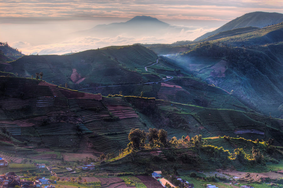 Cao nguyên Dieng (Trung Java): Nằm trên đỉnh cao của quần thể núi lửa Dieng, Cao nguyên Dieng mang vẻ đẹp yên bình, như địa điểm đến tách biệt với thế giới. Từ nhiều thế kỷ trước, người Java đã coi Dieng như một nơi linh thiêng và xây dựng hàng trăm ngôi đền thờ các vị thần ở đó, hiện nay còn tồn tại 8 ngôi đền cổ. Ảnh: Theculturetrip.