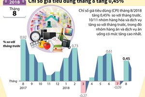 Chỉ số giá tiêu dùng tháng 8 tăng 0,45%