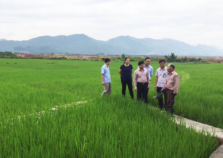 Tổ công tác huyện Tiên Yên kiểm tra thực địa việc xây dựng NTM trên địa bàn xã Đồng Rui.