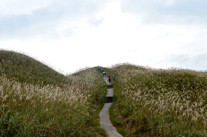 Bình Liêu thu hút khách du lịch vào mùa cỏ lau trắng.