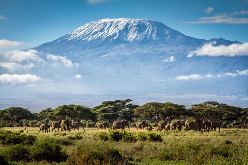 Núi Kilimanjaro, Tanzania (Đông Phi): Phần đỉnh phủ tuyết trắng nổi bật giữa khung cảnh hoang mạc ấn tượng của núi Kilimanjaro có thể sẽ không còn tồn tại được lâu. Từ năm 1912 tới 2007, lượng băng trên đỉnh núi đã giảm 85%. Ảnh: Daily Mail.