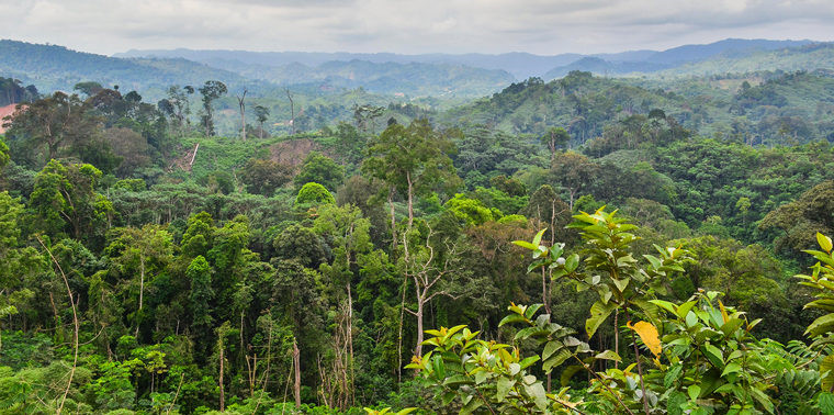 Lưu vực Congo, châu Phi: Lưu vực Congo là khu rừng mưa lớn thứ hai thế giới, với độ đa dạng sinh học ấn tượng. Nơi này có tới 10.000 loài cây, 1.000 loài chim và 400 loài động vật có vú. Liên Hợp Quốc dự đoán 2/3 diện tích rừng sẽ bị phá hủy hoàn toàn trước năm 2040. Ảnh: Ensia.
