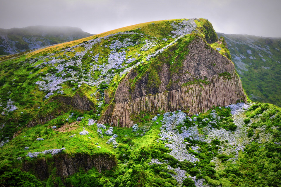 Đảo Hồng Flores: Trong số 9 đảo của quần đảo Azores, Flores là đảo xa lục địa Bồ Đào Nha nhất. Nơi đây có lượng mưa cao hơn những đảo khác, nên những cánh rừng thường xanh hơn, rậm hơn. Đảo Flores nổi tiếng về các loại đá quý tự nhiên, đặc biệt là Rocha dos Bordoes, một vách đá bazan kỳ lạ với các cột đá dài thẳng đứng, được UNESCO công nhận di sản thế giới. Ảnh: Simonitija Potujeta.