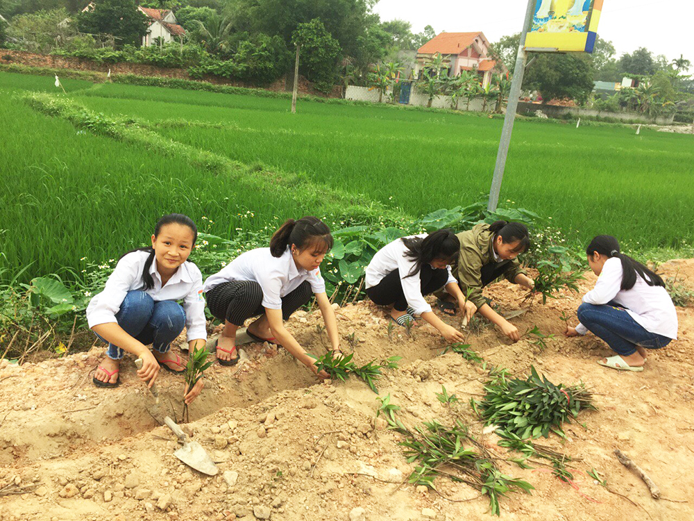 Học sinh thực hành trồng hoa, cây cảnh tại ven đường góp phần xây dựng NTM tại thôn Tân Tiến, xã Lê Lợi.