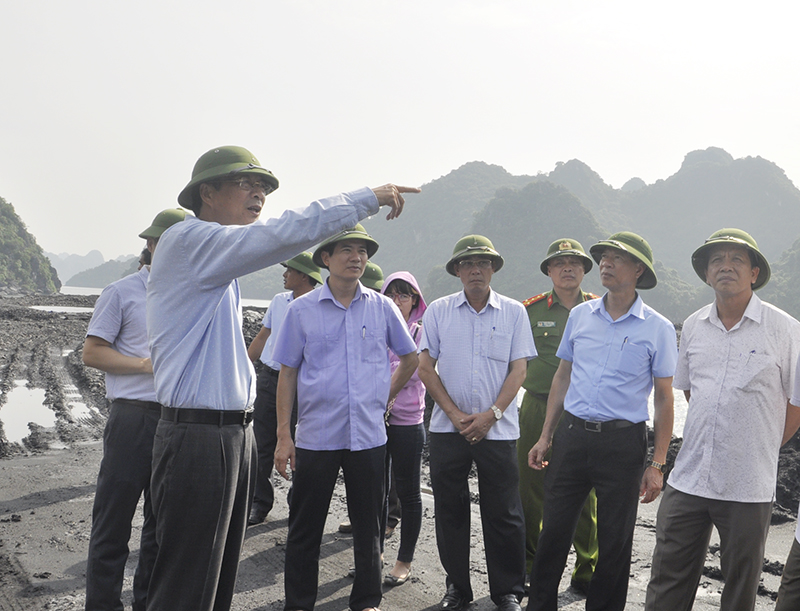 kiểm tra công tác quản lý đất đai, hệ thống cảng hàng hóa, cảng than tại khu vực Cụm cảng Km6 (phường Quang Hanh, TP Cẩm Phả)