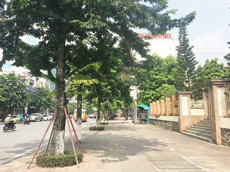 Diện mạo mới của tuyến đường Trần Phú đoạn đi qua phường Cẩm Trung 