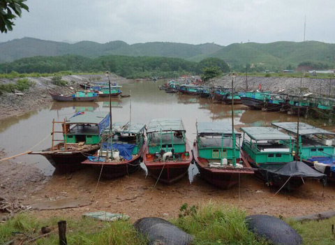 Các phương tiện thủy của huyện Tiên Yên đã về nơi neo đậu an toàn 