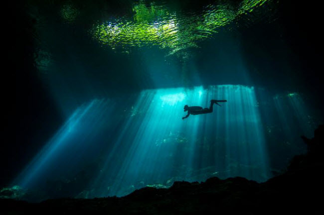 Ánh nắng mặt trời xuyên qua nước khi thợ lặn bơi trong hang động ngầm ở Mexico.
