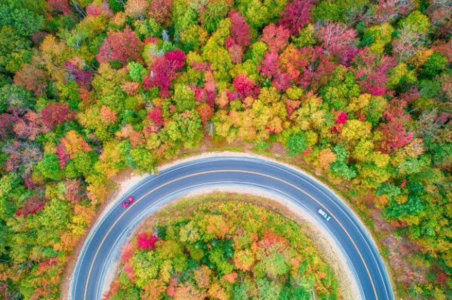 Lá cây chuyển màu vào mùa thu dọc tuyến đường Kancamagus ở bang New Hampshire, Mỹ.