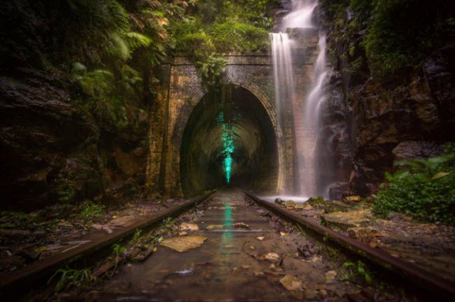 Khung cảnh đẹp ma mị tại cửa hầm đường sắt bỏ hoang ở Helensburgh, New South Wales, Australia.